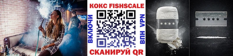 купить   Пустошка  Cocaine 98% 