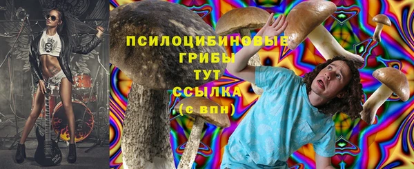герыч Переславль-Залесский