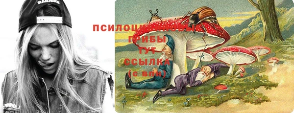 a pvp Пестово