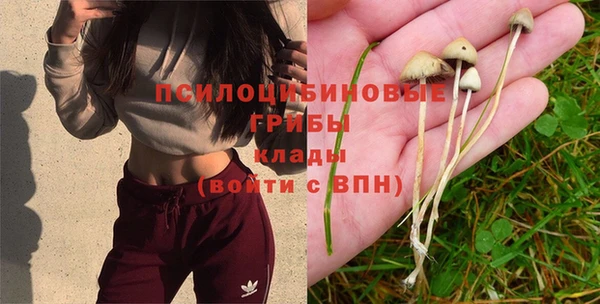 a pvp Пестово