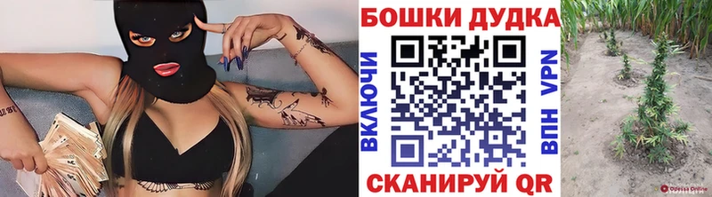 Бошки Шишки SATIVA & INDICA  гидра ТОР  Пустошка  цены  